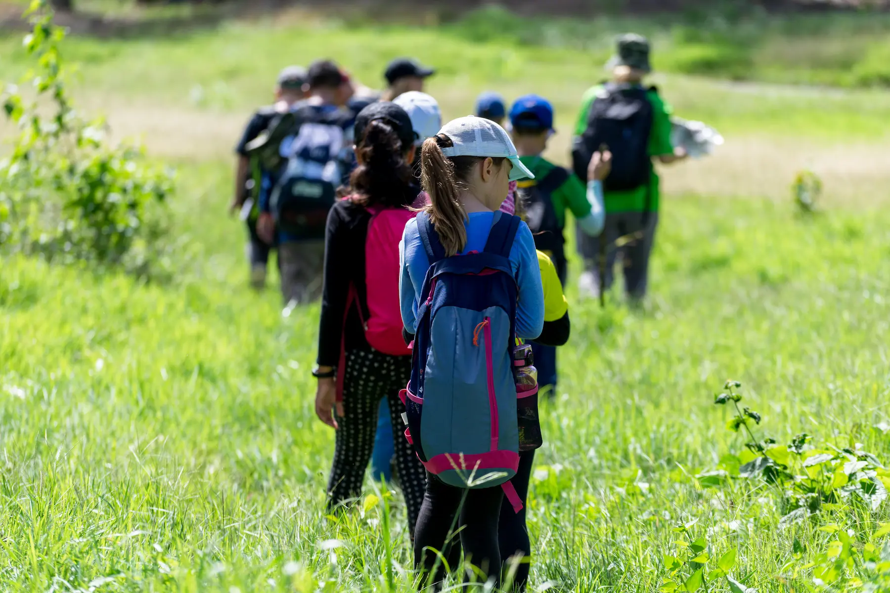 Niños de primaria de excursión en la naturaleza